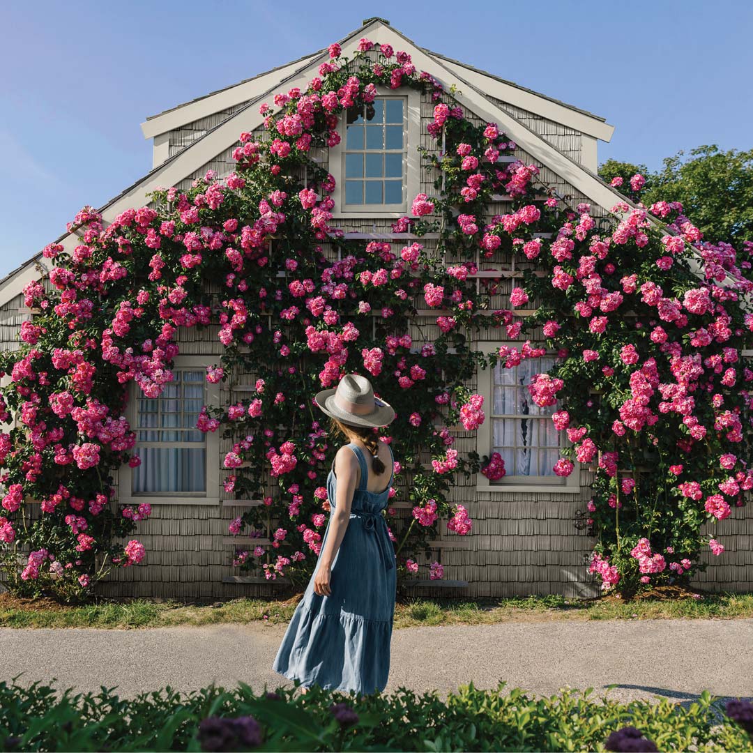 Enviable Exteriors Images