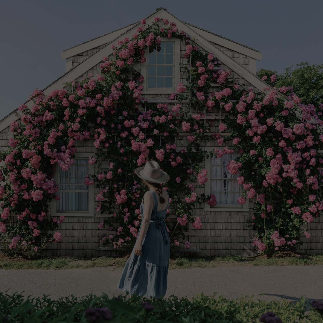 Enviable Exteriors Images